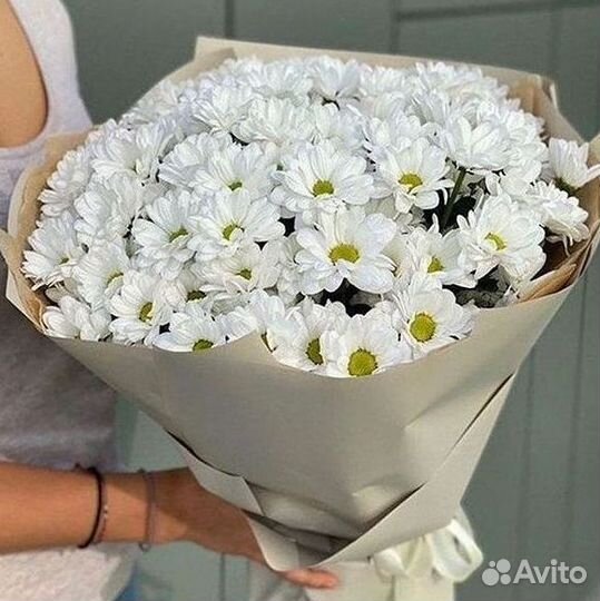 Хризантема. Букеты Цветы доставка