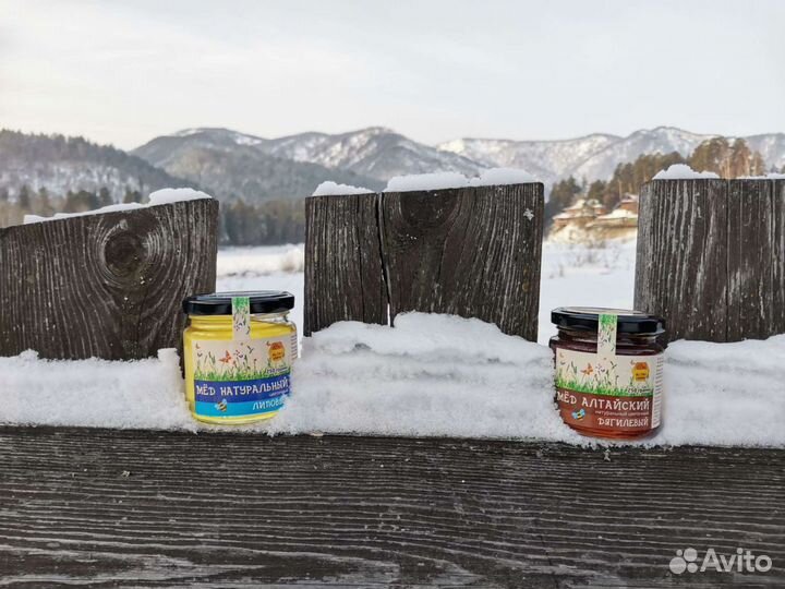 Мёд Алтайский от производителя, опт