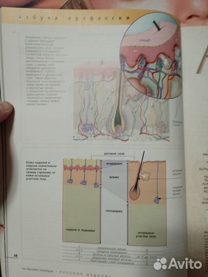 Журналы красота, здоровье. Les nouvelles