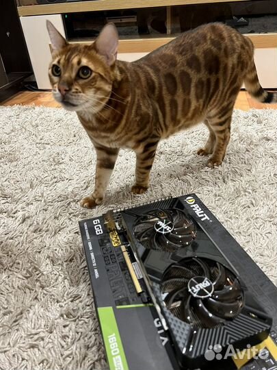 Видеокарта gtx 1660 super 6gb