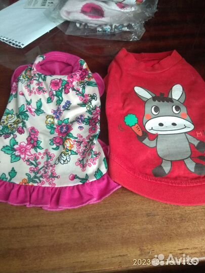 Майки, костюмы, толстовки для маленьких собак