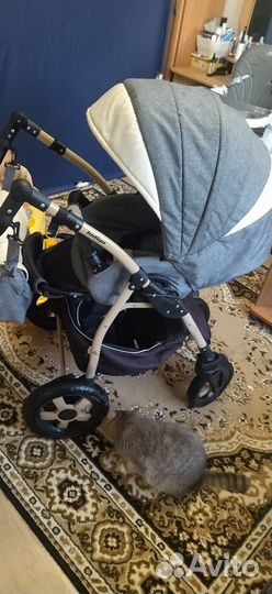 Коляска 2 в 1 indigo