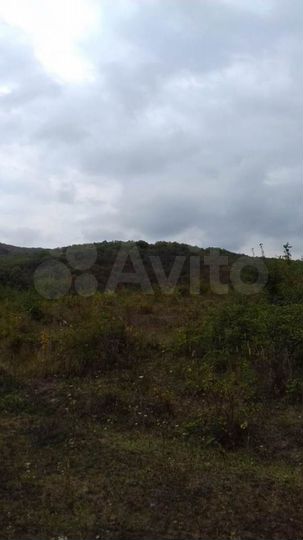 Участок 12,5 сот. (СНТ, ДНП)