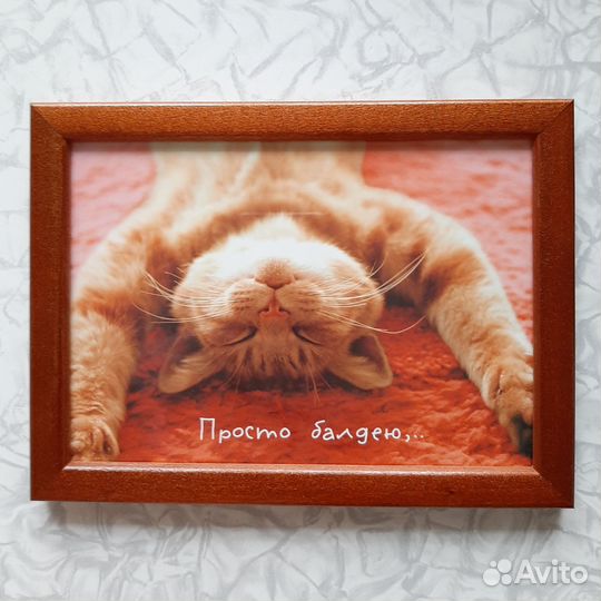 Рамка с картинкой