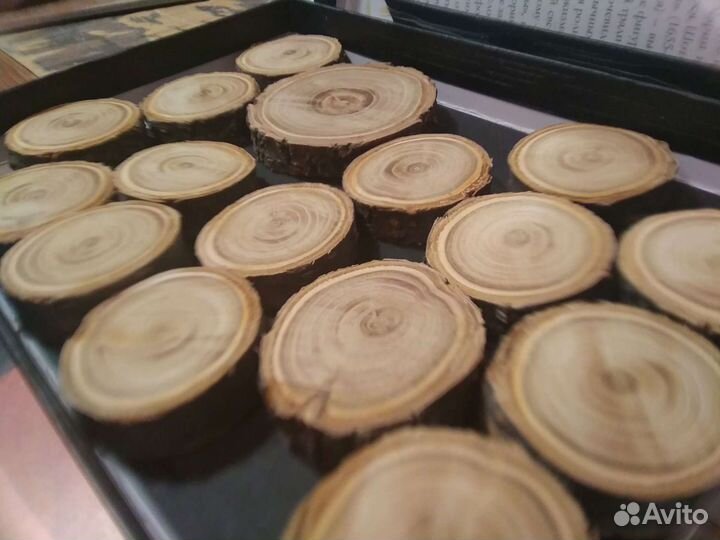 Спилы абрикоса торцевые