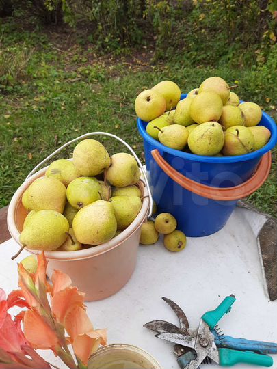 Дом 38,6 м² на участке 10,7 сот.