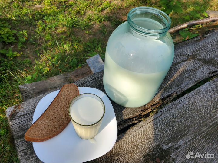 Продам козье молоко