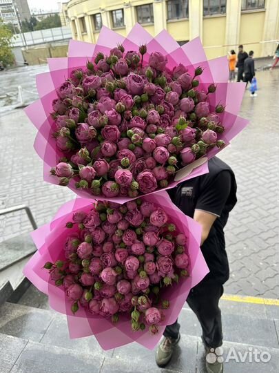 Роза пионовидные розы 11 21 51 101