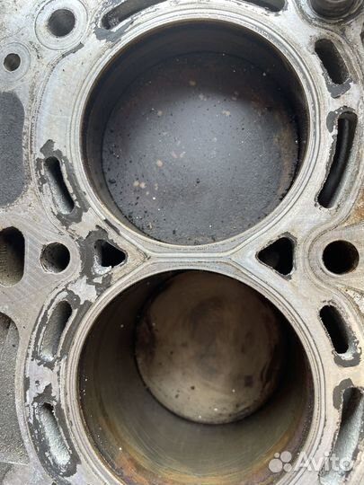 Блок гбц ford focus