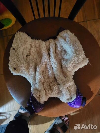 Курточка для собак мелких пород