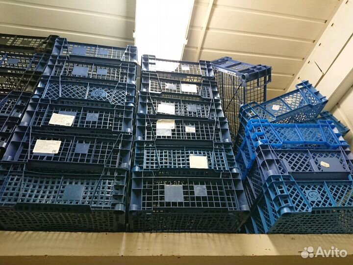 Ящики под овощи, рассаду, ягоды