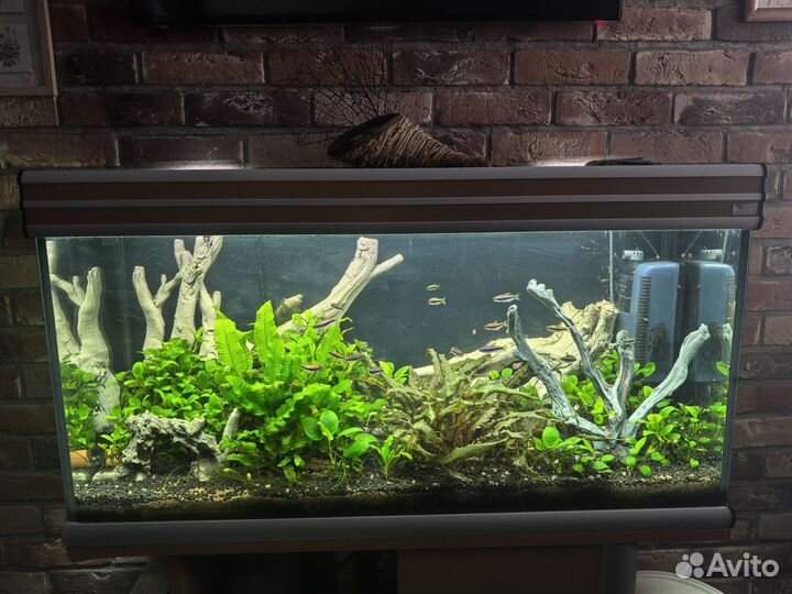Аквариум 220л