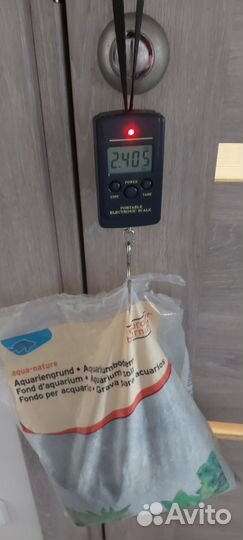 Линеатусы пара и новый грунт Europet Bernina