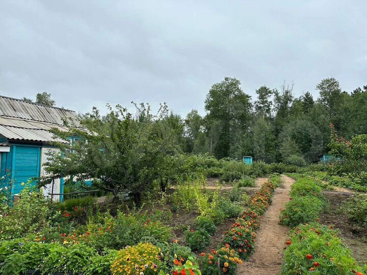 Участок 8 сот. (СНТ, ДНП)