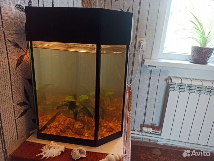 Аквариум 60 л. Комплект