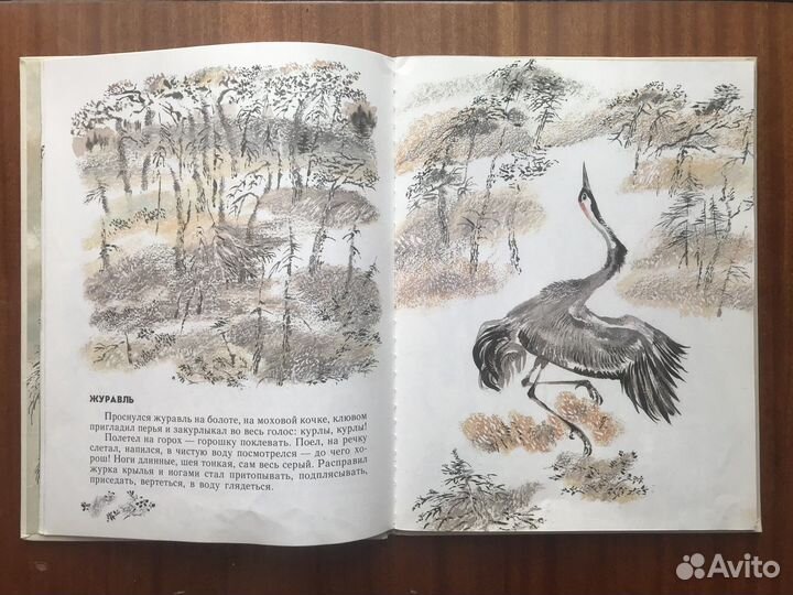 Моя первая зоология