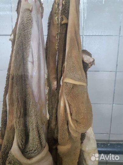 Субпродукты говяжьи