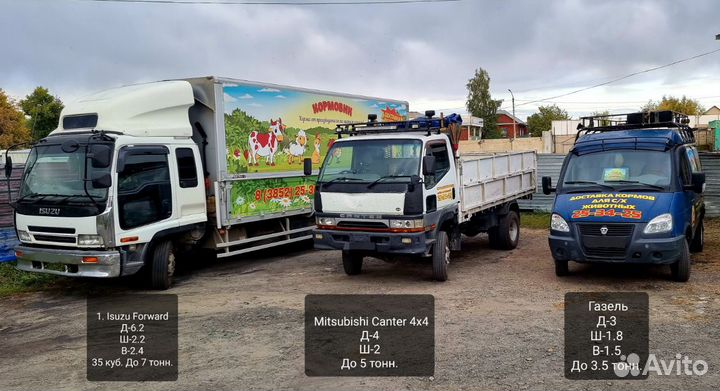 Кольцо для птиц