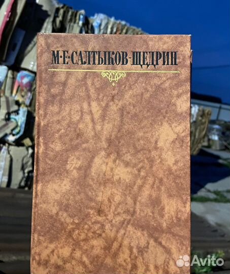 М.Е.Салтыков-Щедрин 