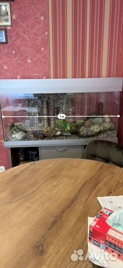 Аквариум с тумбой 200 литров