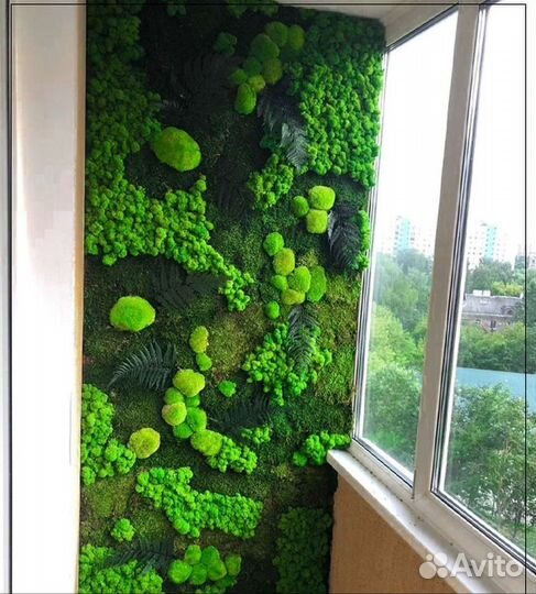 Мох в интерьере панно фитостена фитокартина ягель