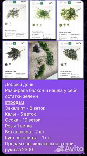 Зелень для творчества