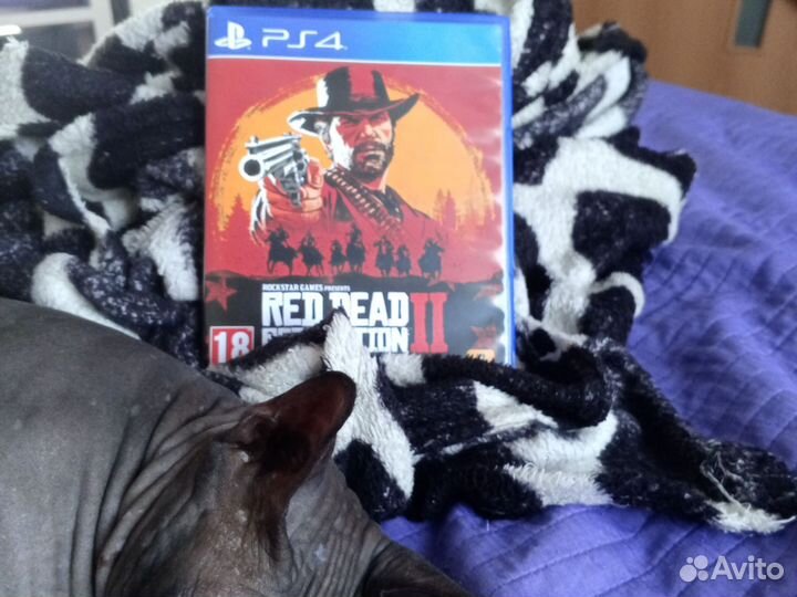 Red dead redemption 2 ps4