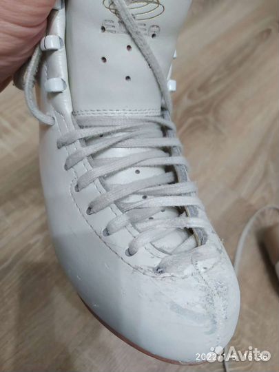 Фигурные коньки (ботинки) edea overture 195 (без л