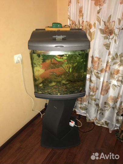 Аквариум 80 литров с рыбками
