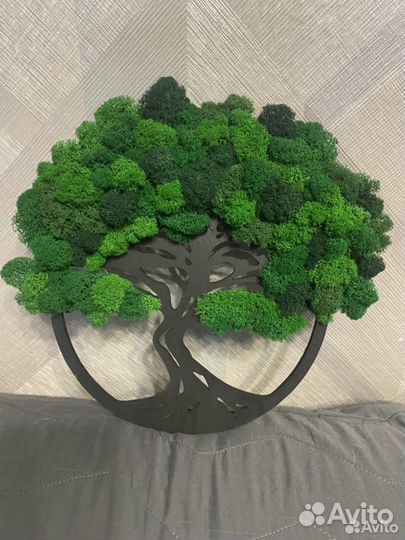 Панно из стабилизированного мха