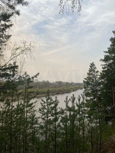 Участок 1,2 га (СНТ, ДНП)