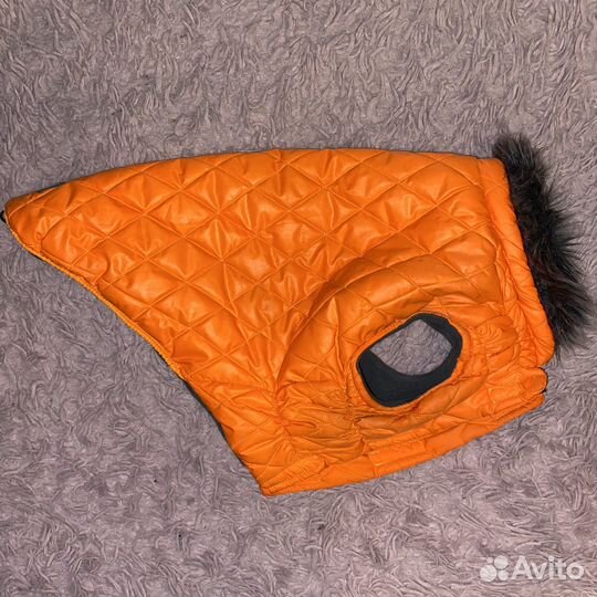 Жилетка для собак