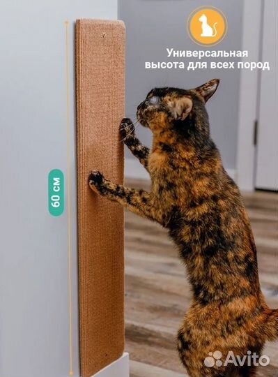 Когтеточка новая