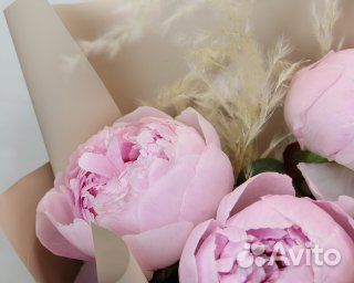Букет из 3 розовых пионов (Premium)