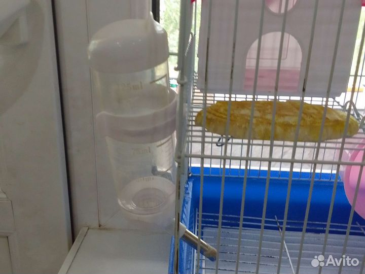 Клетка для грызунов