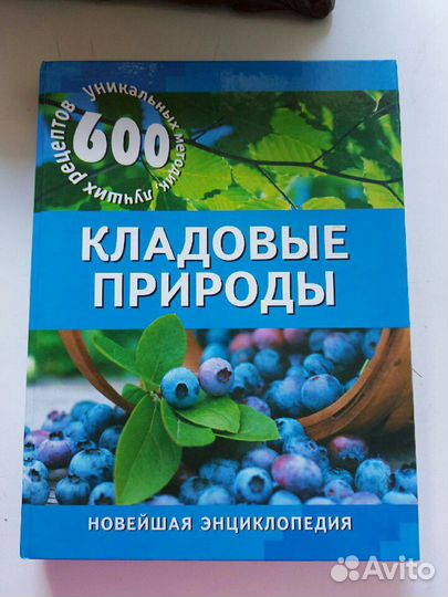 Кладовые природы