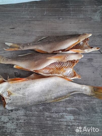 Вяленая рыба