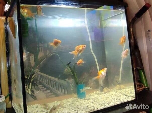 Аквариум 25л