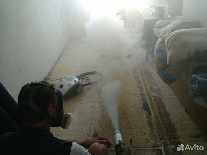 Уничтожение тараканов, клопов, блох и тд