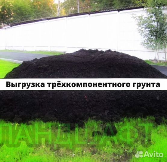 Стандартный рулонный газон 2-х летний Одинцово