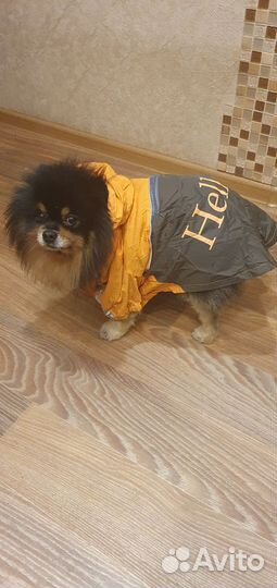 Дождевик для маленькой собаки XL