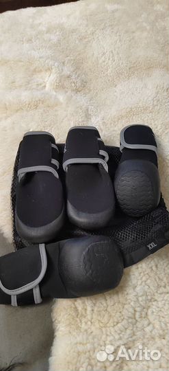 Обувь для собак