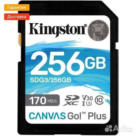 Карта памяти Kingston SDG3/256GB