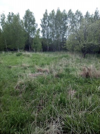 Участок 15,5 сот. (ИЖС)