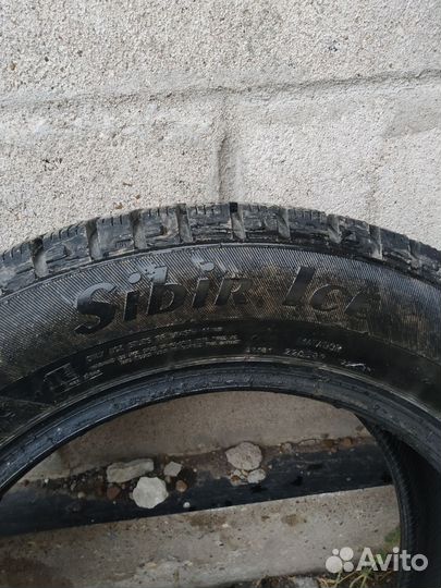 Matador MP 50 Sibir Ice 195/60 R15 88T