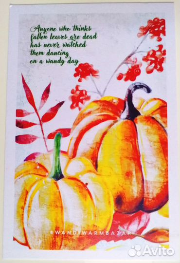 Открытки Природа Растения Маяки