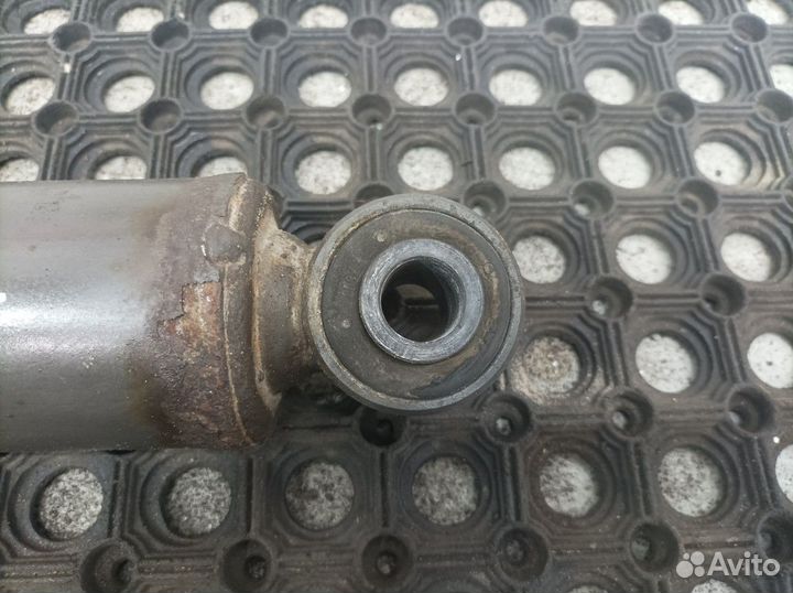 5010630728 Амортизатор задний левый