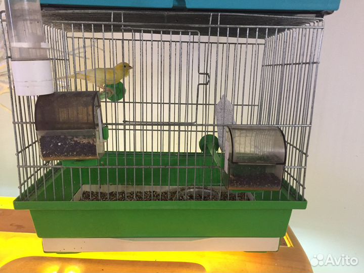 Клетка для птиц