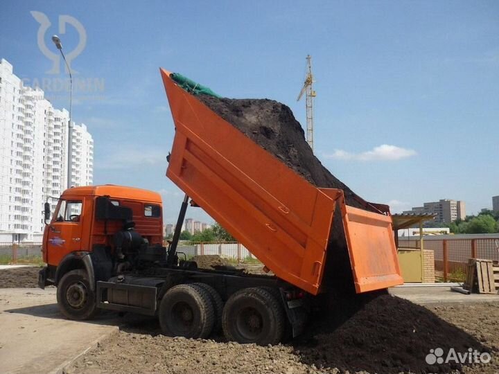 Чернозем полевой