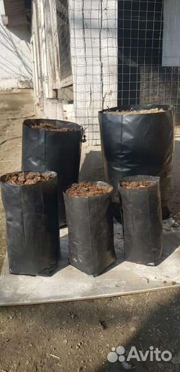 Пакет для саженцев рассады